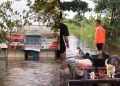 Bikin Kagum, Viral Aksi Pemuda Selamatkan Kucing-Kucing Terjebak Banjir Kalsel