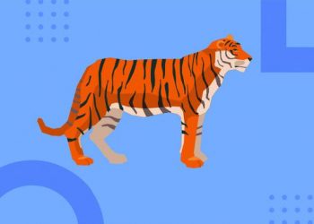 Cek Fakta: Viral Video Kemunculan Harimau di Hutan Blora, Benarkah?