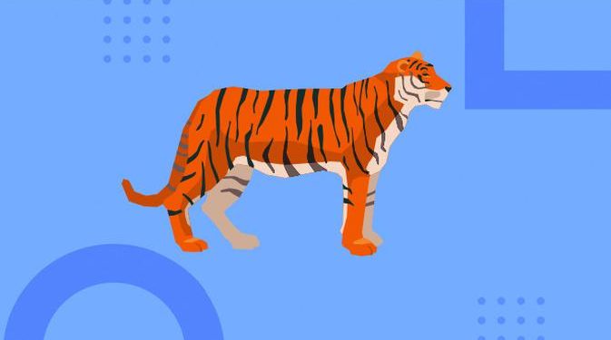 Cek Fakta: Viral Video Kemunculan Harimau di Hutan Blora, Benarkah?