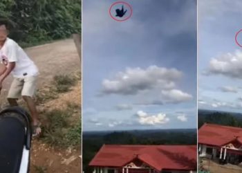 Demi Konten, Viral Pemuda Tega Lempar Kucing dari Puncak Bukit