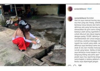 Digerebek Polisi, Ini 3 Fakta Jagal Kucing yang Viral di Media Sosial