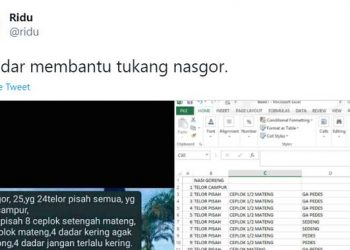 Kisah Terciptanya Kicauan Viral Pesanan Nasi Goreng Menggunakan Tabel Excel