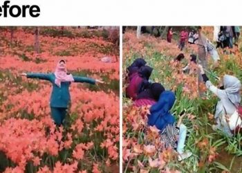 Top 3: Deretan Potret Orang Lakukan Segala Cara Demi Viral di Medsos