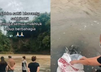 Tuai Pro dan Kontra, Viral Aksi Keluarga Lepaskan 2 Karung Ikan Lele di Sungai