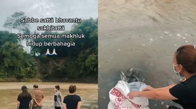 Tuai Pro dan Kontra, Viral Aksi Keluarga Lepaskan 2 Karung Ikan Lele di Sungai