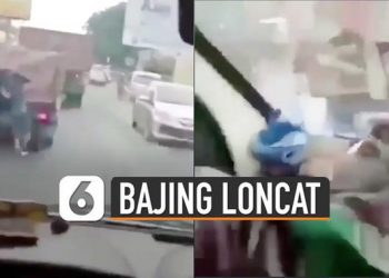 VIDEO: Nekat, Bajing Loncat Beraksi di Hadapan Anggota TNI