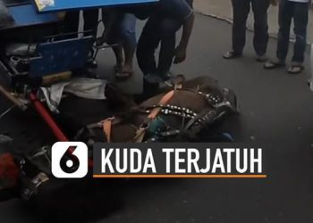 VIDEO: Viral Kuda Terjatuh Di Tengah Jalan, Ini Dia Penyebabnya