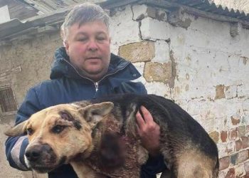 Viral, Aksi Super Sadis Pria Seret Anjing dengan Mobil hingga Tak Berdaya