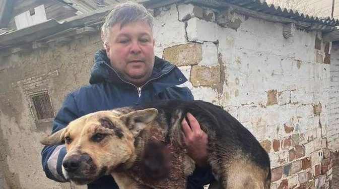 Viral, Aksi Super Sadis Pria Seret Anjing dengan Mobil hingga Tak Berdaya