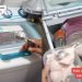 Viral Cara Membuat Es Puter Pakai Mesin Cuci, Bikin Geleng Kepala
