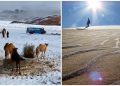 Viral Gurun Sahara Dilanda Suhu -3 Derajat hingga Bersalju, Ini 6 Potretnya