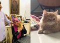Viral Wanita Ini Terharu Dapat Kado Kucing Oranye, Sampai Menitikkan Air Mata