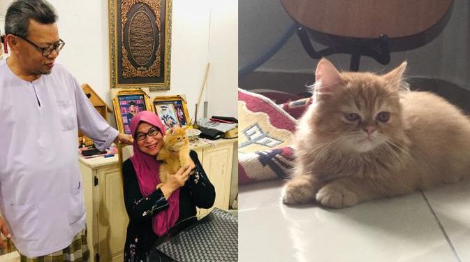 Viral Wanita Ini Terharu Dapat Kado Kucing Oranye, Sampai Menitikkan Air Mata