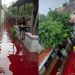 6 Potret Banjir Pekalongan Berwarna Merah Pekat, Ini Fakta di Baliknya
