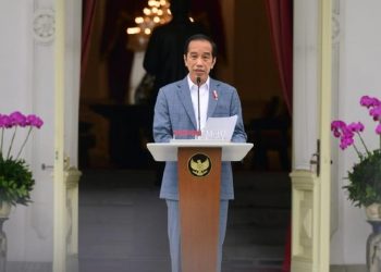 Jokowi Minta Gubernur-Bupati di Kalsel Rehabilitasi Lahan Guna Cegah Banjir