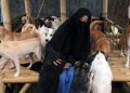 Polisi Mediasi Ormas dan Wanita Bercadar Rawat Puluhan Anjing di Bogor, Ini Hasilnya