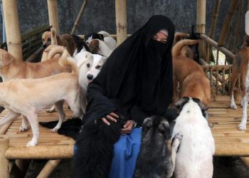 Polisi Mediasi Ormas dan Wanita Bercadar Rawat Puluhan Anjing di Bogor, Ini Hasilnya