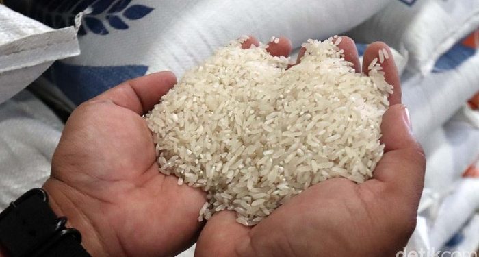 RI Tak Jadi Impor Beras, Buwas: Kita Utamakan Produksi Petani