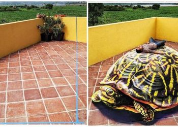 Seniman Ini Buat Ilustrasi 3D di Dinding dan Jalanan,Hasilnya Mengagumkan