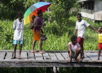 IDI Papua Desak Pemerintah Jamin Keselamatan Nakes dari KKB