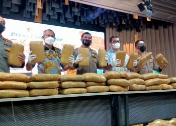Bareskrim Ringkus Jaringan Aceh-Medan-Jakarta, Sita 224 Kilogram Ganja