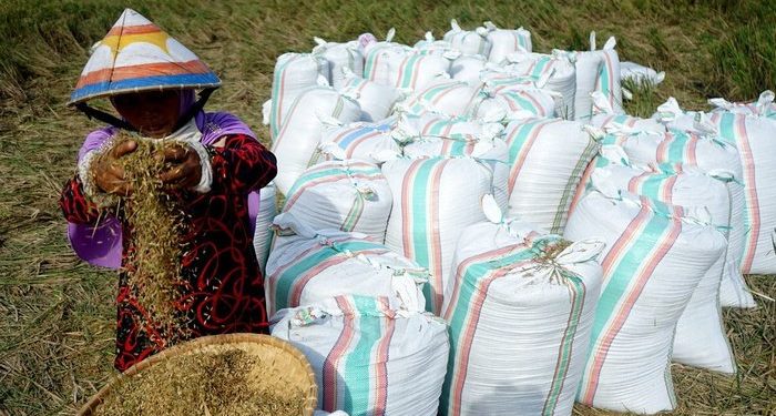 Polri & Kementan Kerja Sama Bangun Ketahanan Pangan Nasional