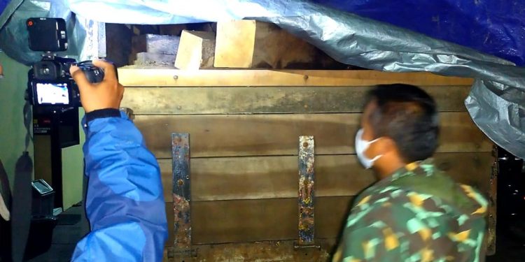 Polres Lumajang Berhasil Gagalkan Ilegal Logging Beromset Ratusan Juta Rupiah