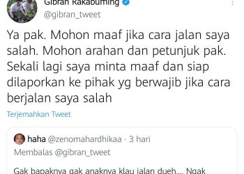Cara Jalan Dinyinyiri Netizen, Gibran: Siap Dilaporkan Pihak Berwajib