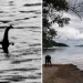 Loch Ness Monster Khayalan Diburu Oleh Ratusan Orang