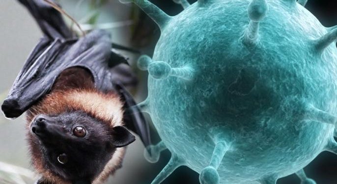 Viral! Virus Nipah Sebabkan 2 Orang di India Meninggal
