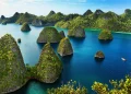 Melindungi Warisan Cinta Alam Indonesia: Pentingnya #SelamatkanPlanetKita