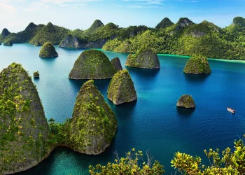 Melindungi Warisan Cinta Alam Indonesia: Pentingnya #SelamatkanPlanetKita