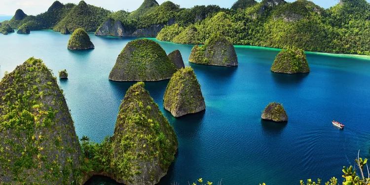 Melindungi Warisan Cinta Alam Indonesia: Pentingnya #SelamatkanPlanetKita