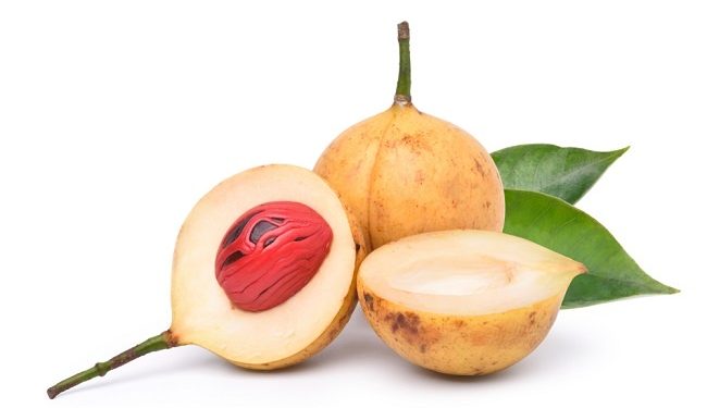 Manfaat Minyak Pala untuk Kesehatan