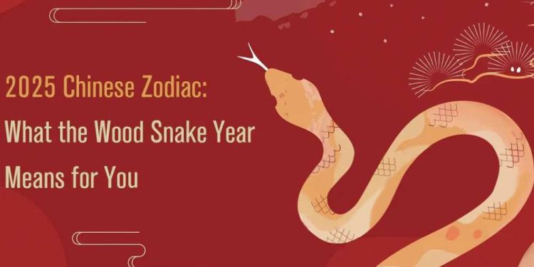 Tahun Ular Kayu 2025: 3 Shio yang Perlu Waspada dan Strategi Menghadapi Tantangan